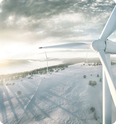 Thakorji Distributors